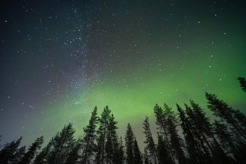 Rovaniemi Insider: Night train in Winter Forest