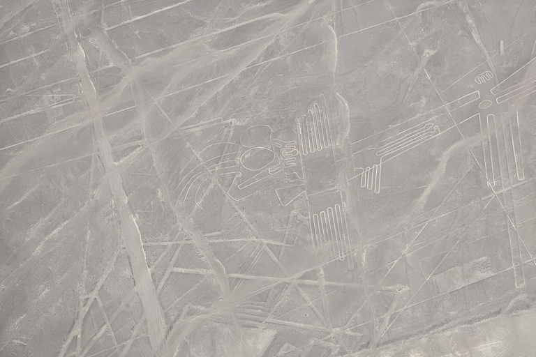 De Nazca: Sobrevoo das Linhas de Nazca