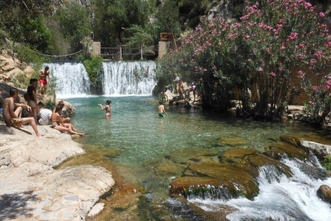 Alicante &amp; Benidorm: Algar Wasserfälle inklusive Transfer
