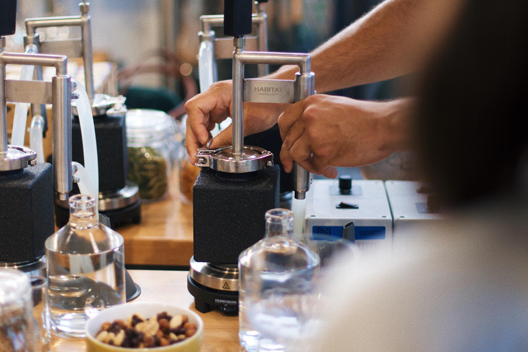 Dubrovnik: Habitat Gin Experience