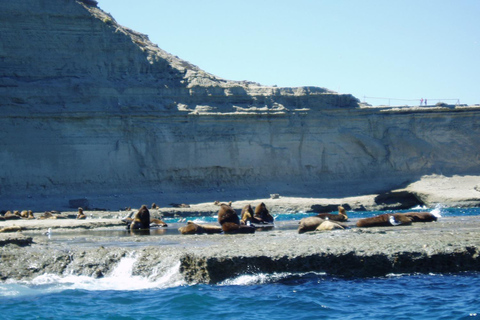 Puerto Madryn: Excursão à Península Valdés ClássicaExcursão de um dia para conhecer a Península Valdés