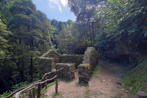 São Miguel: Moinho do Felix-Wanderung mit Besuch der Teefabrik