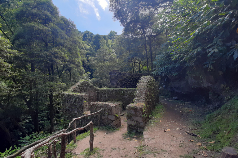 São Miguel: Moinho do Felix-Wanderung mit Besuch der Teefabrik