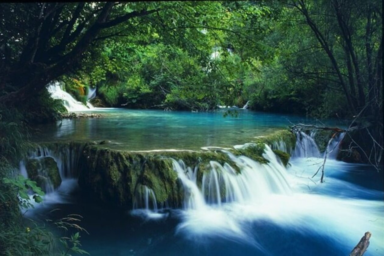 Tour di trekking di un&#039;intera giornata al Parco Nazionale Bach Ma dalla città di HueTREKKING DI INTERA GIORNATA AL PARCO NAZIONALE DI BACH MA DALLA CITTÀ DI HUE