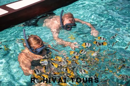 Bora Bora: 1/2 päivän laguunisafari - Jaettu retki