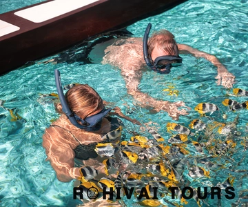 Bora Bora: 1/2 day lagoon safari - Shared tour