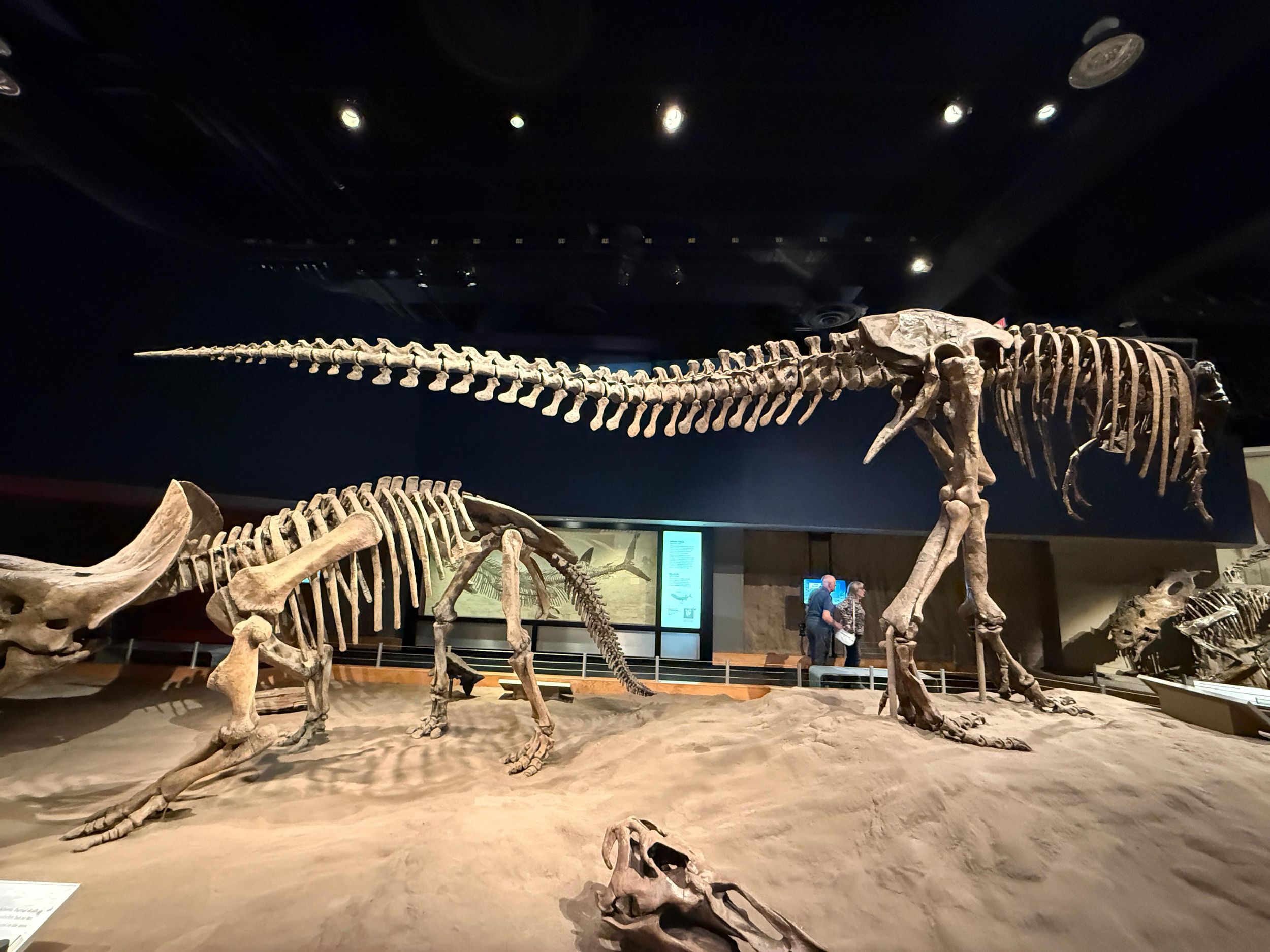 Ab Calgary: Tagestour nach Drumheller und zu den Hoodoos – Entdecken Sie die Badlands