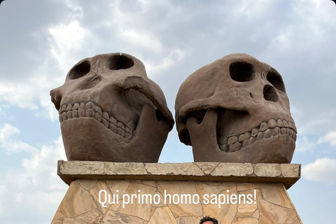 恩戈罗恩戈罗至吉力马扎罗山麓2日经济之旅恩戈罗恩戈罗至马特鲁尼和咖啡之旅（2 天经济之旅）