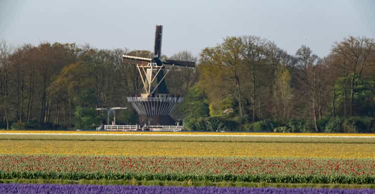 Amsterdam: Day Tour Keukenhof and Zaanse Schans Windmills photo 4