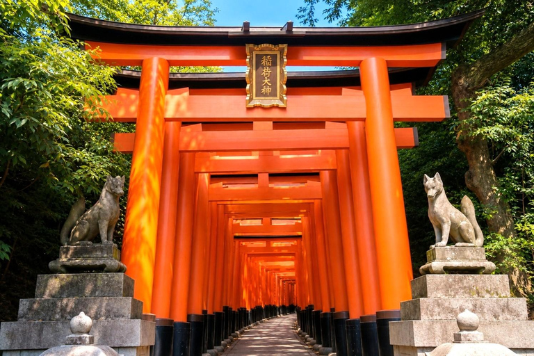 From Osaka/Kyoto: Kyoto Private Tour with Driver & Guide Kyoto/Osaka Pickup & Drop-off – ES/IT/DE/PT Guide