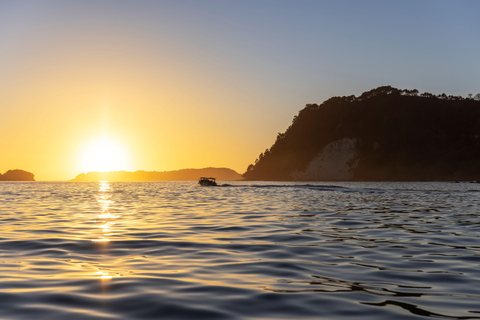 CATHEDRAL COVE & HOT WATER BEACH Day Tour from Auckland