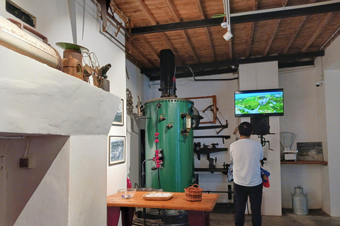 Traditions & Flavors of São Miguel Tour