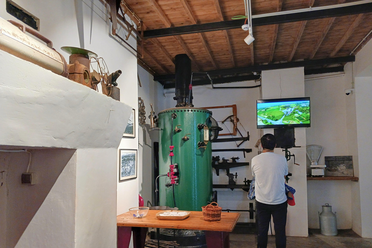 Traditions & Flavors of São Miguel Tour