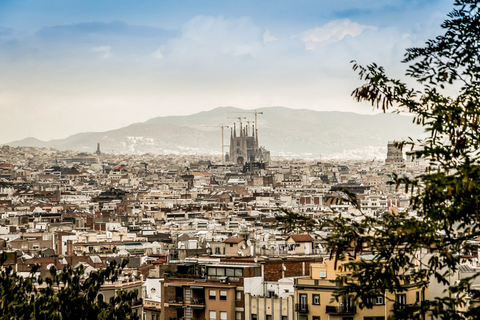 Barcelona: Sagrada Família Skip the Line Tour &amp; InträdesbiljettGuidad tur på franska