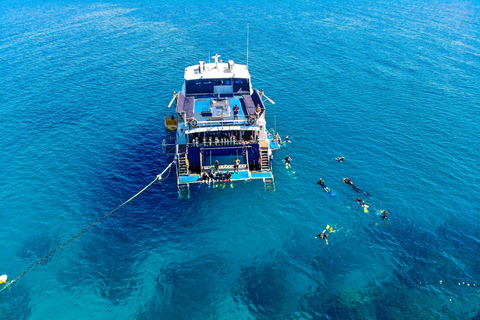 Cairns: Best Value All-inclusive Reef Trip With Scuba Dive