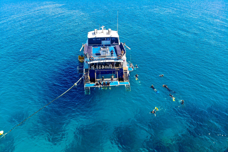 Cairns: Best Value All-inclusive Reef Trip With Scuba Dive