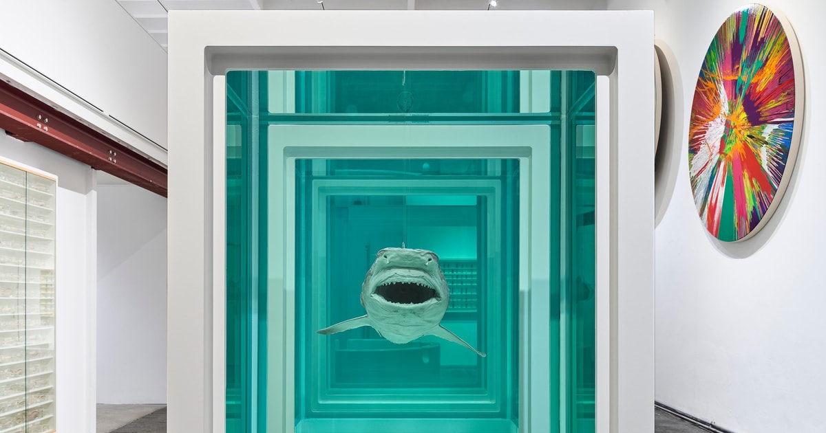 Munich: MUCA Damien Hirst Exhibition Guided Tour | GetYourGuide