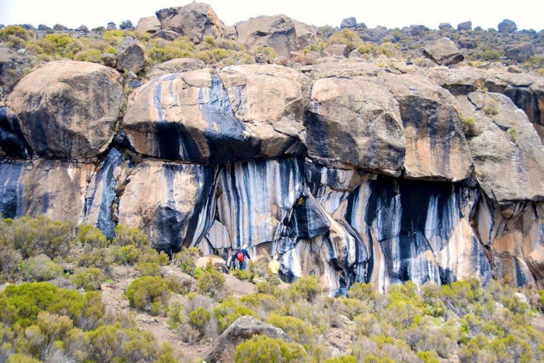 Kilimanjaro: 8-Day Climb via Lemosho Route