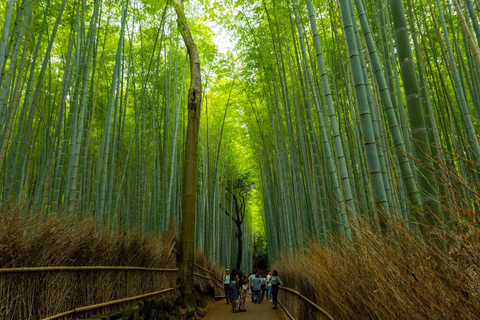 Kyoto: Arashiyama Unveiled – Bamboo, Temple, Matcha, Monkeys Kyoto: Arashiyama Unveiled Bamboo, Temple, Matcha, & Monkeys
