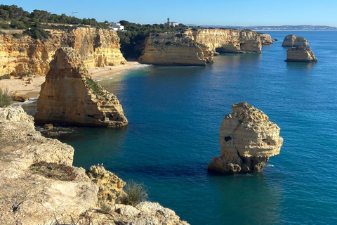 Z Faro: Wycieczka do Benagil, Marinha, 7 Dolin i Algar Seco