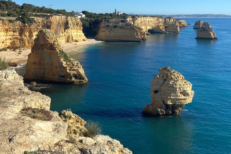 Från Faro: Benagil, Marinha, 7 dalar och Algar Seco Tour