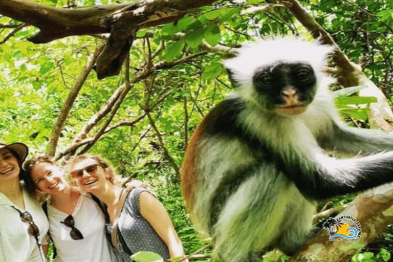 Zanzibar: Blue Lagoon with Snorkeling and Jozani Forest Tour