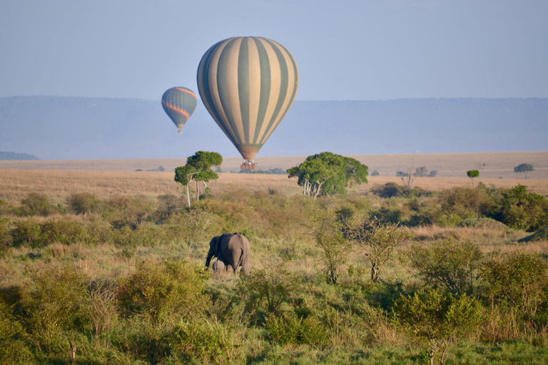 Die 3-tägige Serengeti-Bollon-Safari| Tansania Wildlife-Safari