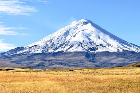 From Quito: 8-Day Avenue of Volcanoes and Andean Tour