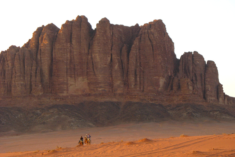 Wadi Rum: 8-stündige Jeep-Tour, Kamel, Sandboarding & MittagessenGemeinsame 8-stündige Jeeptour mit Kamelritt