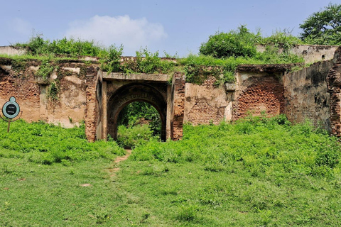 Depuis Bangalore : Excursion d&#039;une journée à Mysore et Srirangapatna avec guide