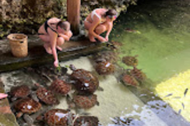 WYCIECZKA MNEMBA DOLPHIN TOUR, AKWARIUM LAGUNA I PLAŻA KENDWA