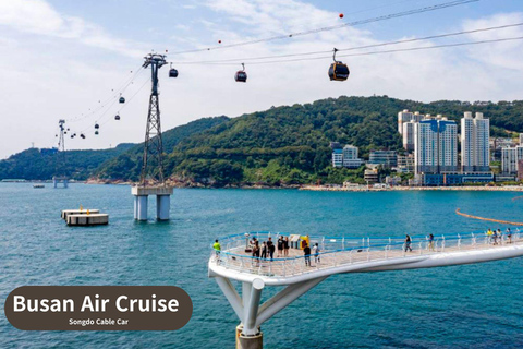 Busan: Highlights Tour with Zipline & Cable Car with Lunch