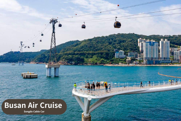 Busan: Highlights Tour with Zipline & Cable Car with Lunch