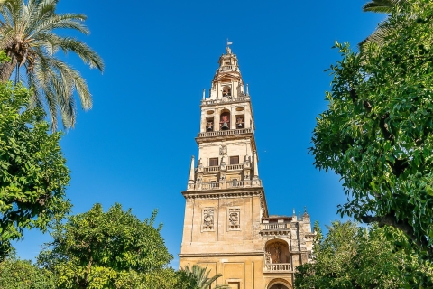 Córdoba: Moschee-Kathedrale - Führung ohne AnstehenGruppentour auf Spanisch