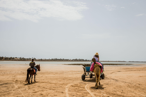 Blaue Lagune 2H Kutschfahrt in DjerbaTraditionelle Pferdekutschenfahrt in Djerba