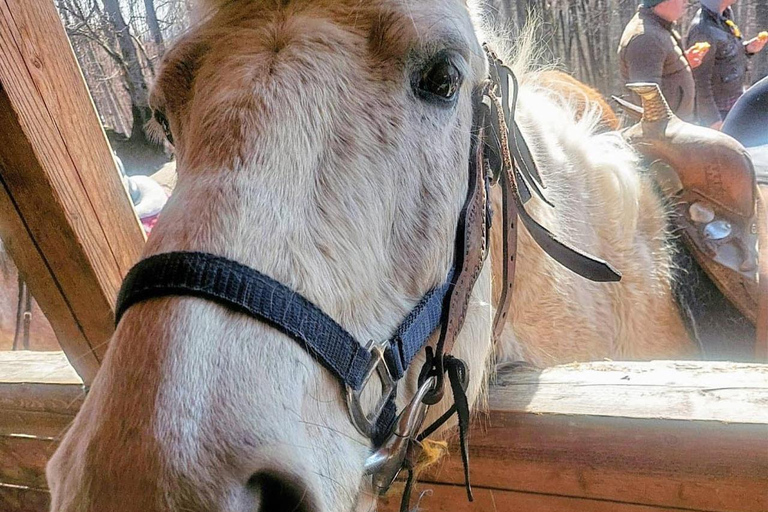 Muscel: The Hidden Trails: Full-Day Horseback Exploration
