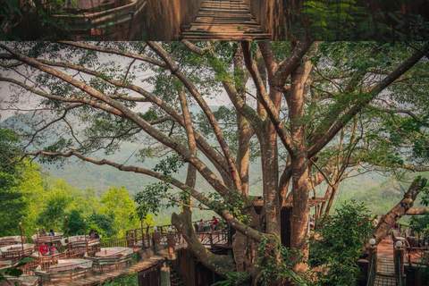Chiang Mai: excursión de un día al Giant Café y al pueblo de Mae KampongChiang Mai: Excursión de un día al Café Gigante y al pueblo de Mae Kampong