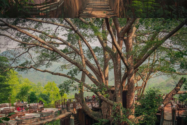 Chiang Mai: excursión de un día al Giant Café y al pueblo de Mae KampongChiang Mai: Excursión de un día al Café Gigante y al pueblo de Mae Kampong