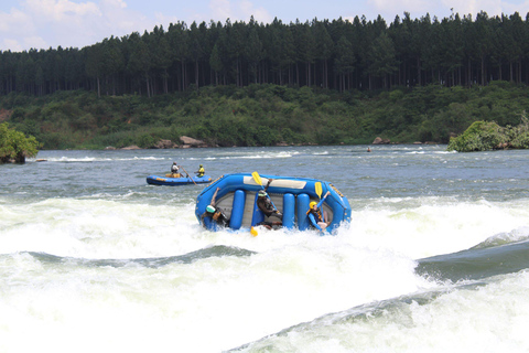 Grade 3 White water rafting on the Nile River
