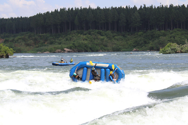 Grade 3 White water rafting on the Nile River