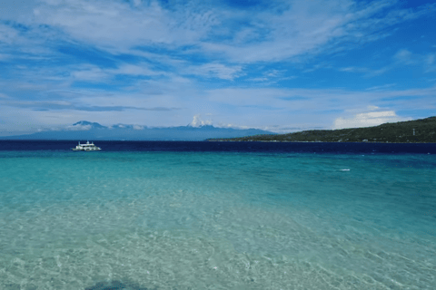Oslob: Whale Sharks, Tumalog Falls & Sumilon Trio Adventure