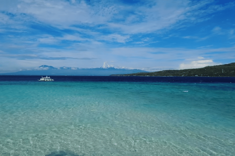 Oslob: Whale Sharks, Tumalog Falls & Sumilon Trio Adventure