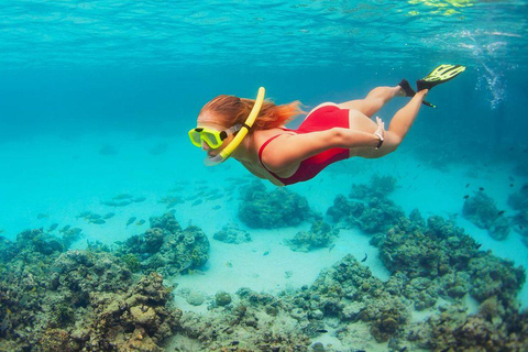 Bali: Amanecer Observando Delfines, Excursión de Natación y SnorkelTour en barco privado con punto de encuentro