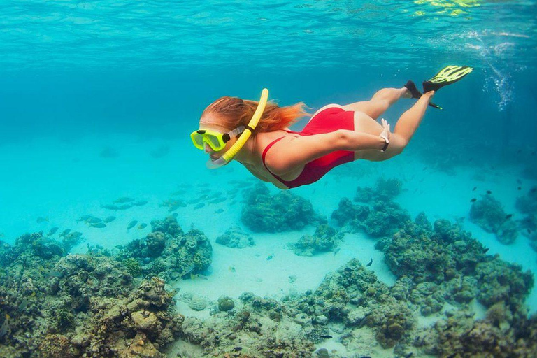 Bali : Observation des dauphins au lever du soleil, baignade et plongée en apnéeTour en bateau privé avec lieu de rendez-vous