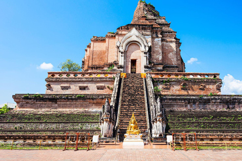 Long Neck Village, Silver Temple & Chiang Mai Top Sites Experience with temples entry tickets