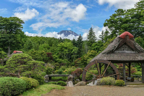 Tokyo : Visite privée du Mont Fuji avec prise en charge et retour