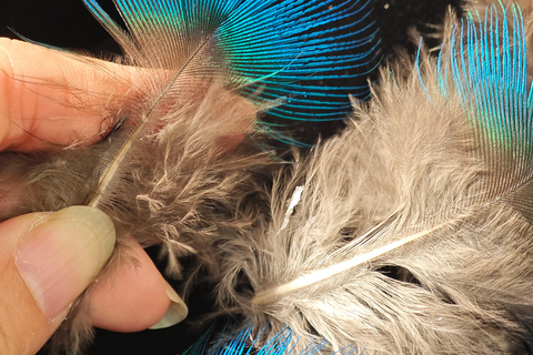 Guangzhou: Feather Inlay DIY Experience Goose Feathers