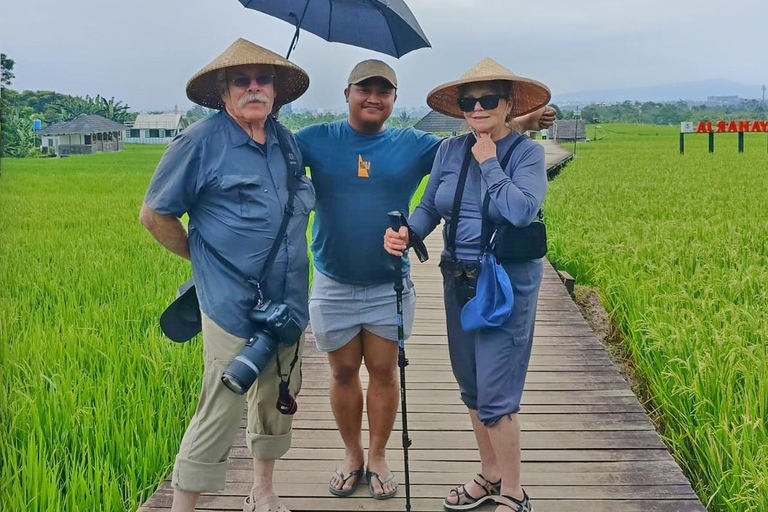 Jakarta Bogor Botanisk trädgård, risterrass och vattenfall