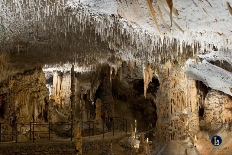 Desde Liubliana Bled, Cueva de Postojna y Excursión al Castillo de Predjama