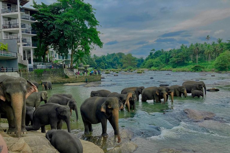 Kandy Highlights & Pinnawala Elephant Experience by Tuk-Tuk